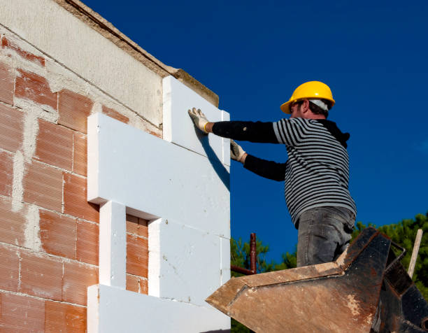 Best Types of Insulation in Central Park, WA