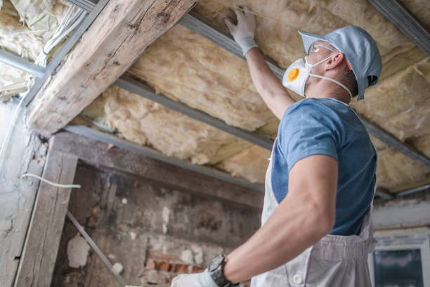 Best Insulation Installation Services in Central Park, WA