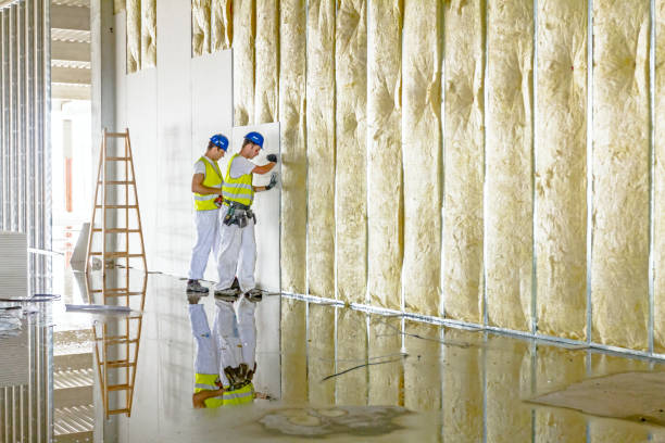 Best Insulation Installation Services in Central Park, WA